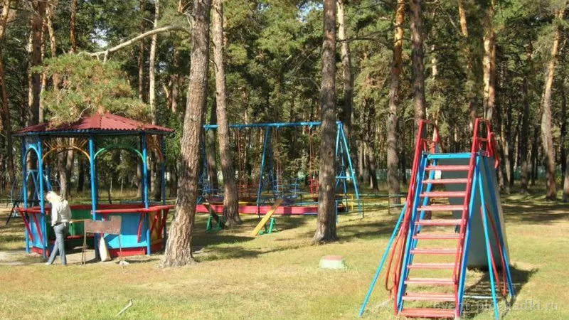 Стрельникова — загородная площадка в Омске