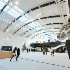 Конногвардейский манеж