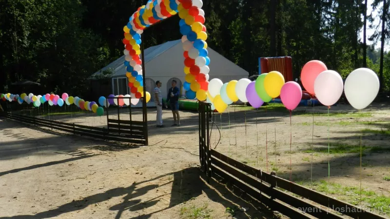 Forest Camp — загородная площадка в Санкт-Петербурге