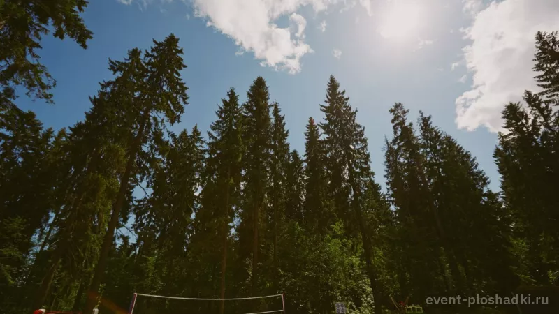 Forest Camp — загородная площадка в Санкт-Петербурге — фото 2