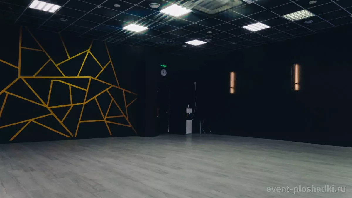 VIVA DANCE — BLACK GOLD — зал в Москве — фото 6