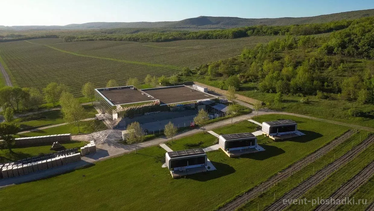 Винодельня «Бюрнье» — локация «Фестиваль» — летняя площадка в Новороссийске — фото 3