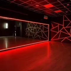 VIVA DANCE — BLACK GOLD