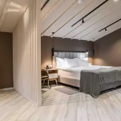 Кедр Зайцево